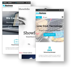 Creación y Administración Web 